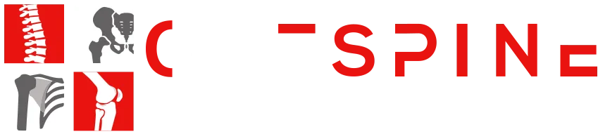 One Spine Chiropractic and Physiotherapy Centre logo