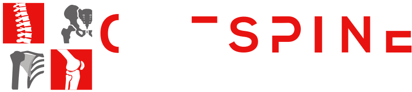 One Spine Chiropractic and Physiotherapy Centre logo