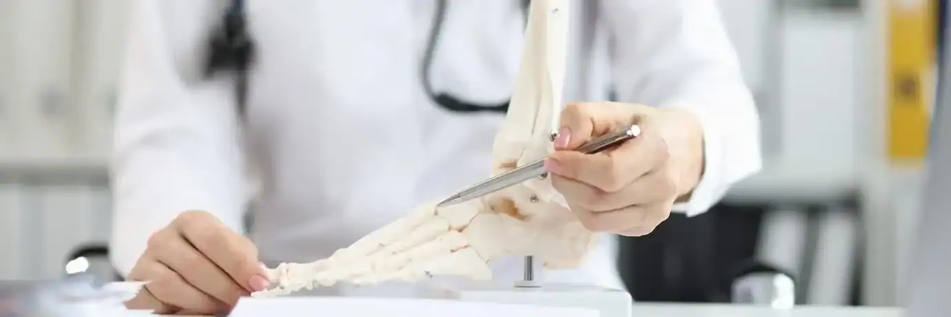 Spinal anatomy model used during a One Spine chiropractic and physiotherapy consultation