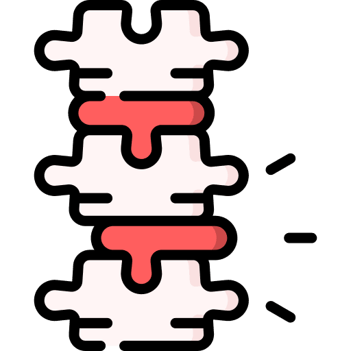 spine